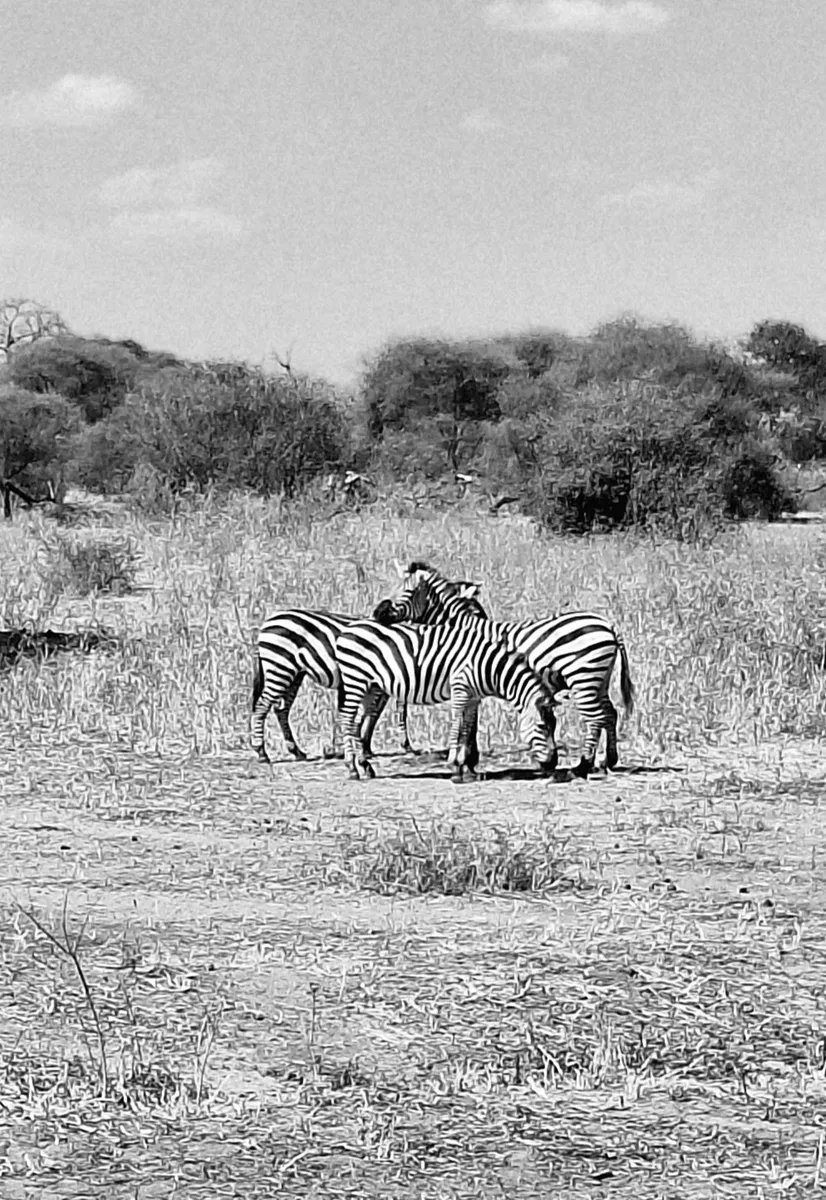 lideres del mundo 11